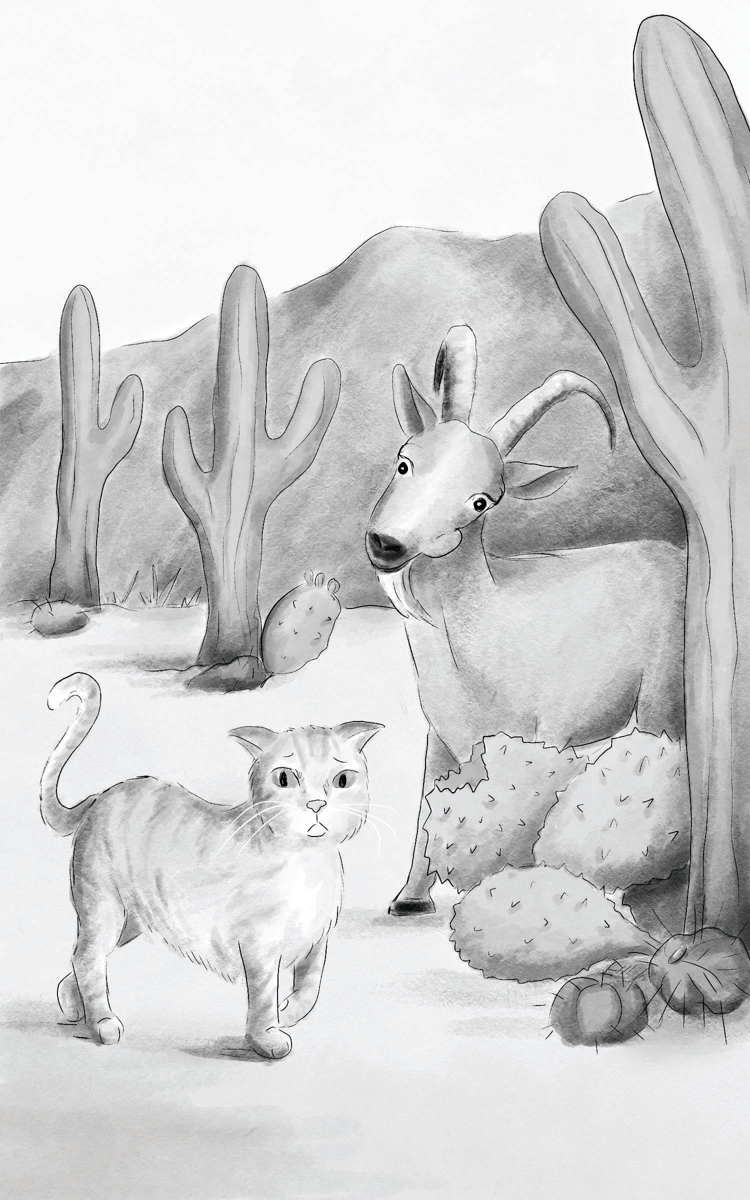 A desert adventure